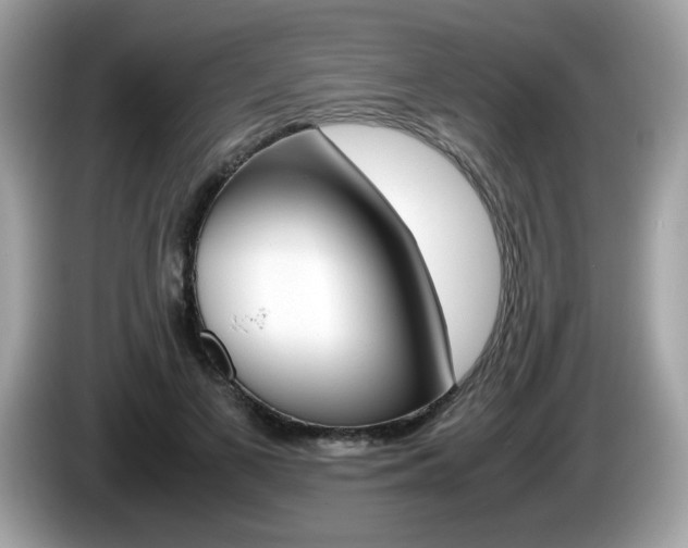X0000086240693200703291005