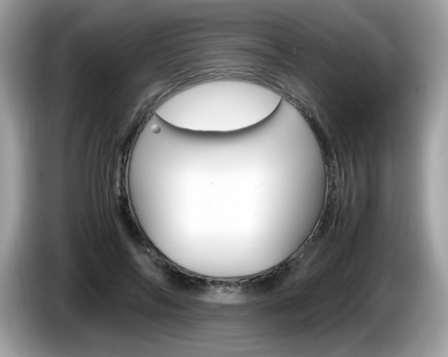 X0000086240694200703291005