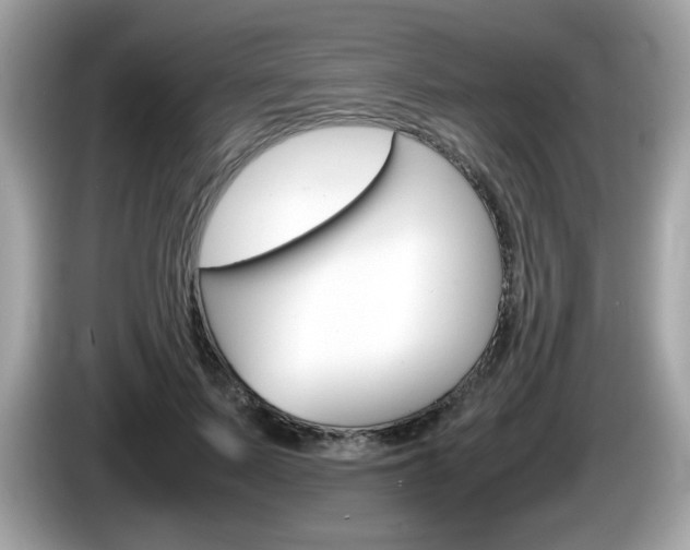 X0000086240695200703291005
