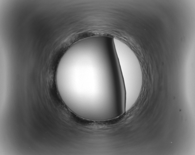 X0000086240697200703291005