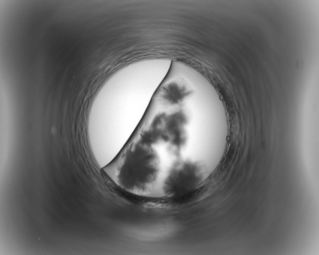 X0000086240699200703291005
