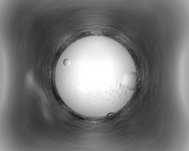 X0000086240702200703291005