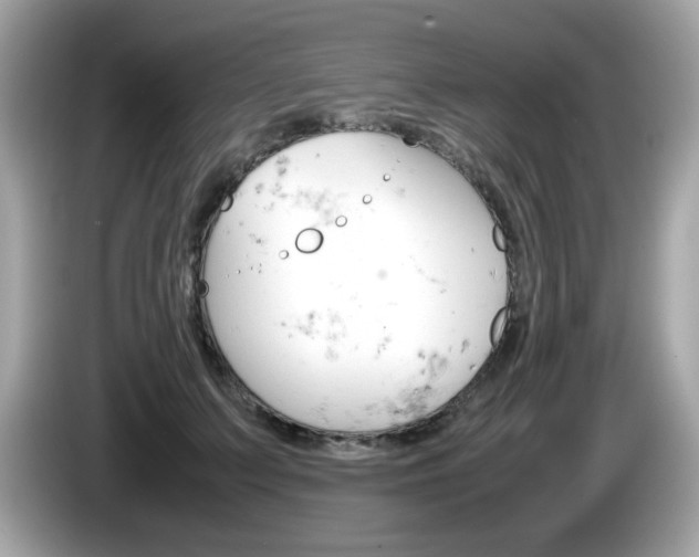 X0000086240703200703291005