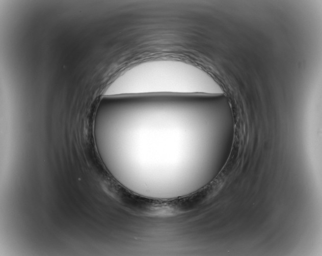 X0000086240704200703291005