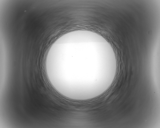 X0000086240705200703291005