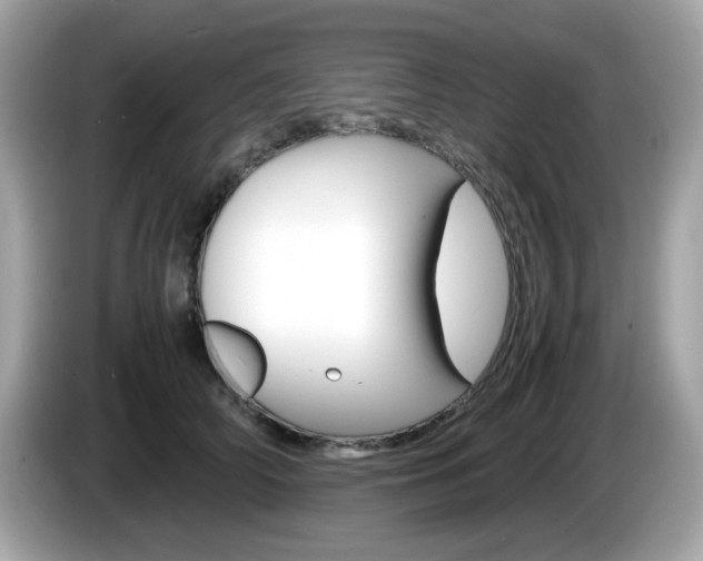 X0000086240706200703291005