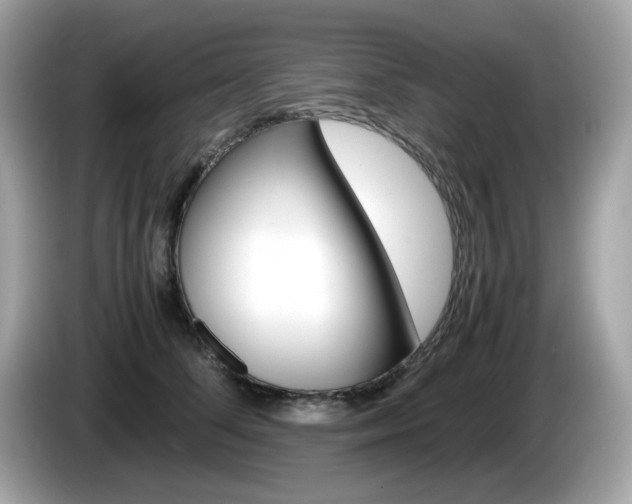 X0000086240708200703291005