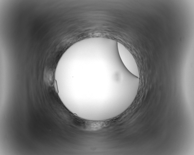 X0000086240709200703291005