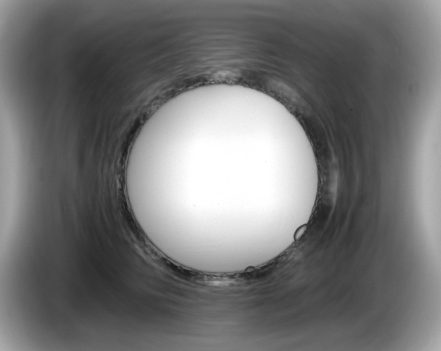 X0000086240710200703291005