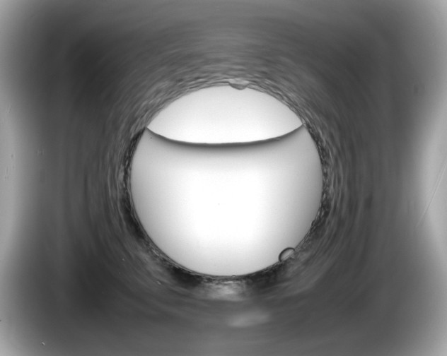 X0000086240711200703291005