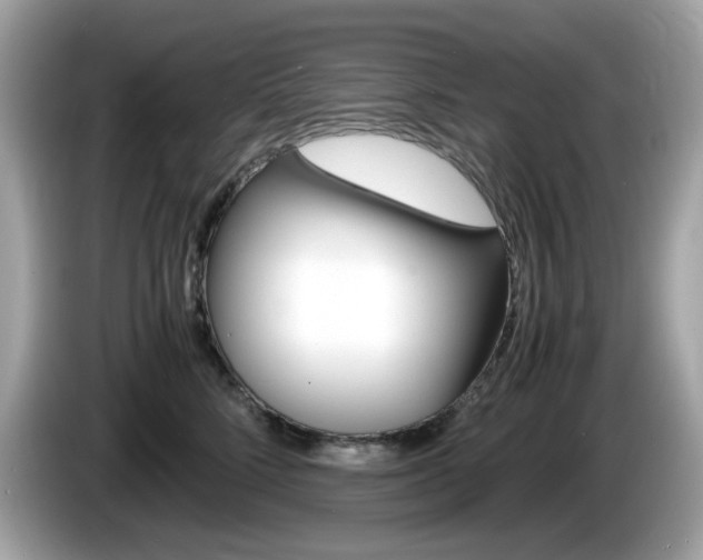 X0000086240712200703291005