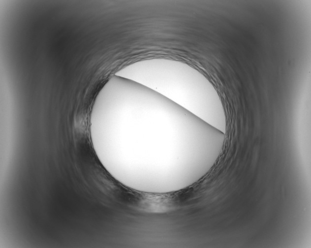 X0000086240713200703291005