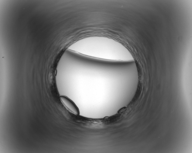 X0000086240715200703291005