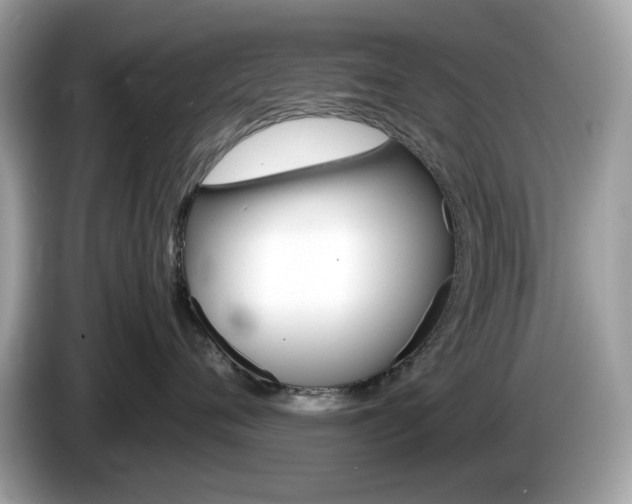 X0000086240720200703291005