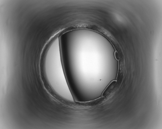 X0000086240722200703291004