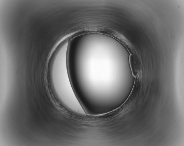 X0000086240724200703291004