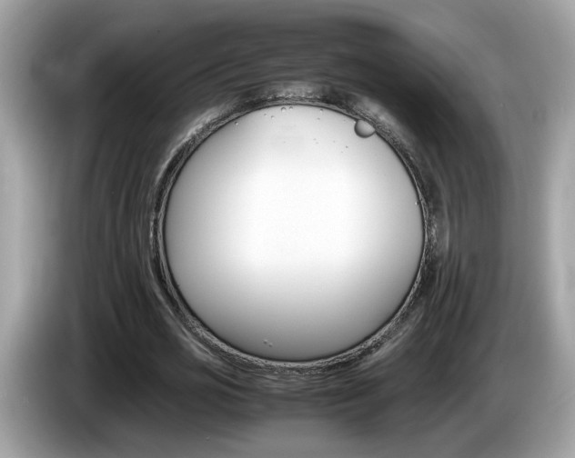 X0000086240725200703291004
