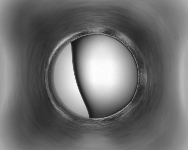 X0000086240726200703291004