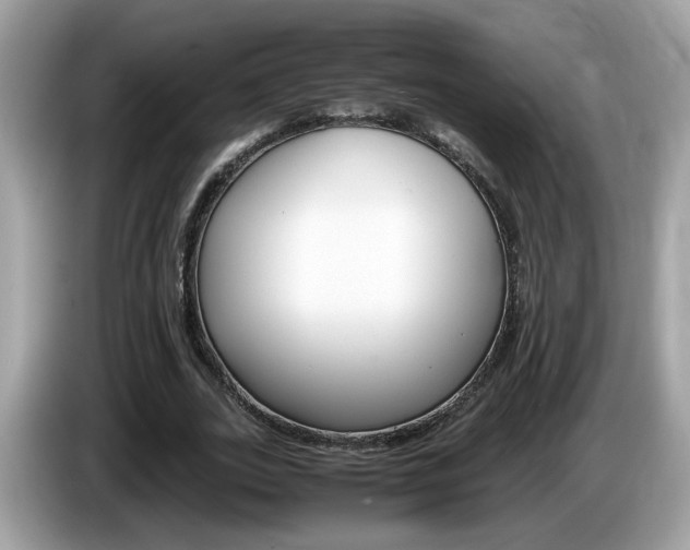 X0000086240727200703291004