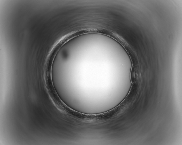 X0000086240728200703291004