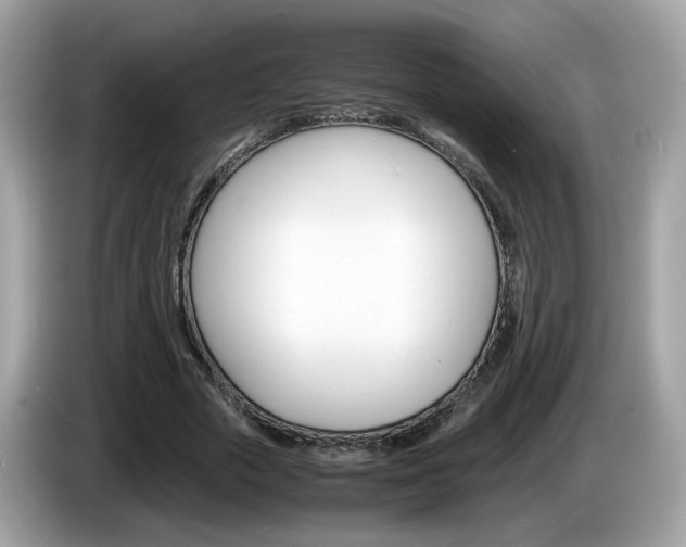 X0000086240729200703291004