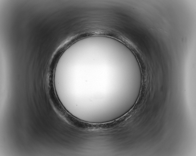 X0000086240730200703291004