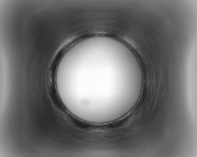 X0000086240731200703291004