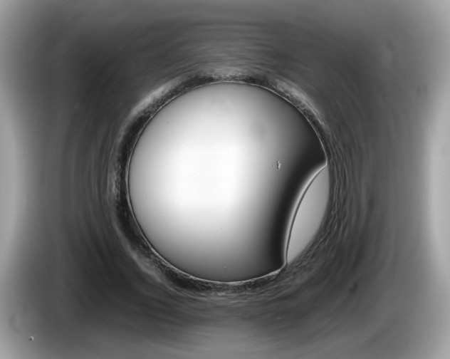 X0000086240732200703291004