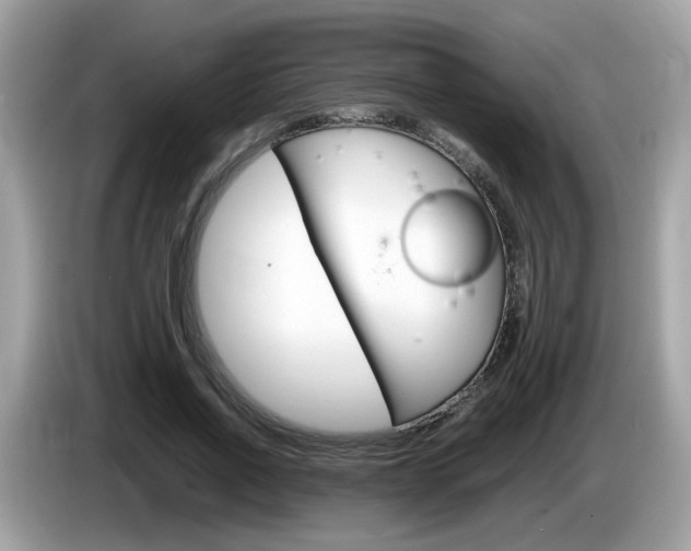 X0000086240734200703291004