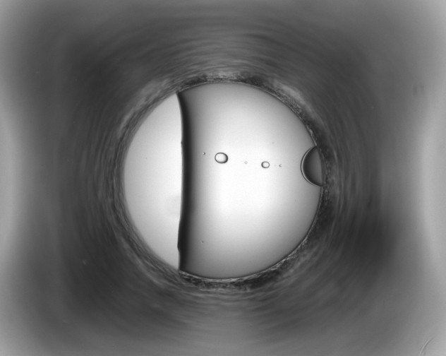 X0000086240738200703291005