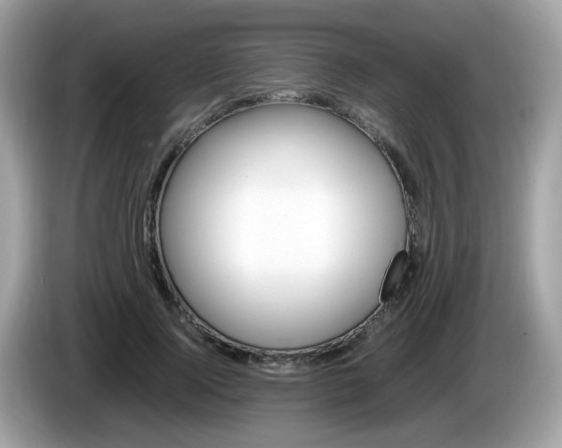 X0000086240740200703291005