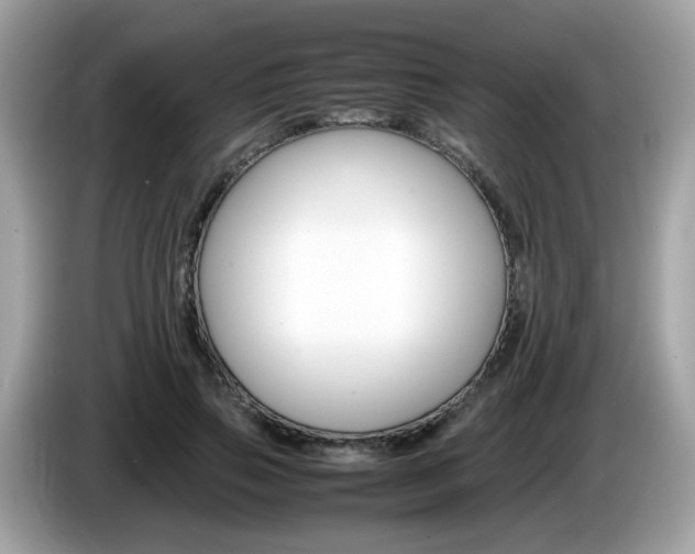 X0000086240741200703291005