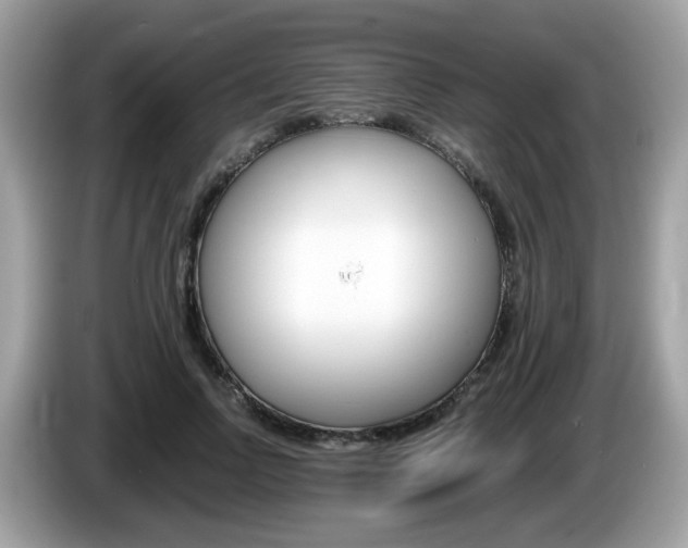 X0000086240742200703291005
