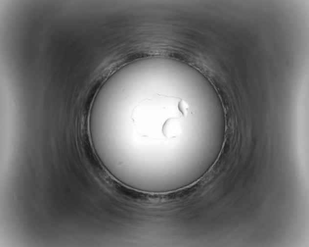 X0000086240744200703291005