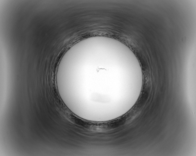 X0000086240745200703291005