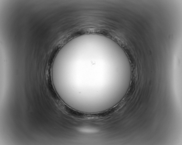 X0000086240746200703291005