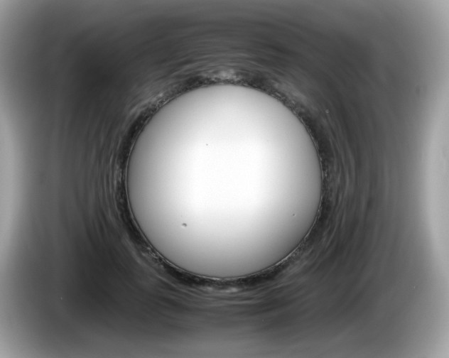 X0000086240747200703291005