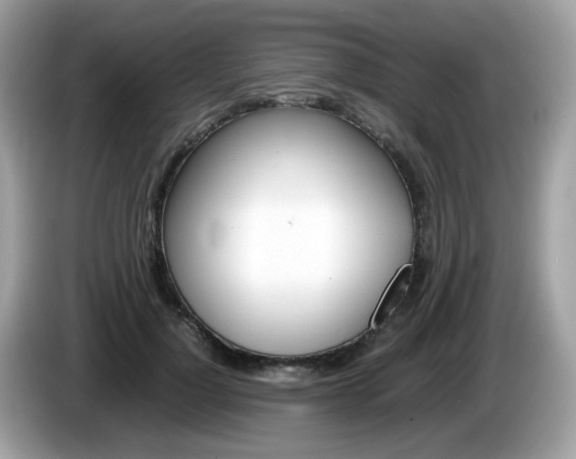 X0000086240748200703291005