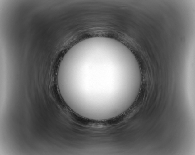 X0000086240751200703291005