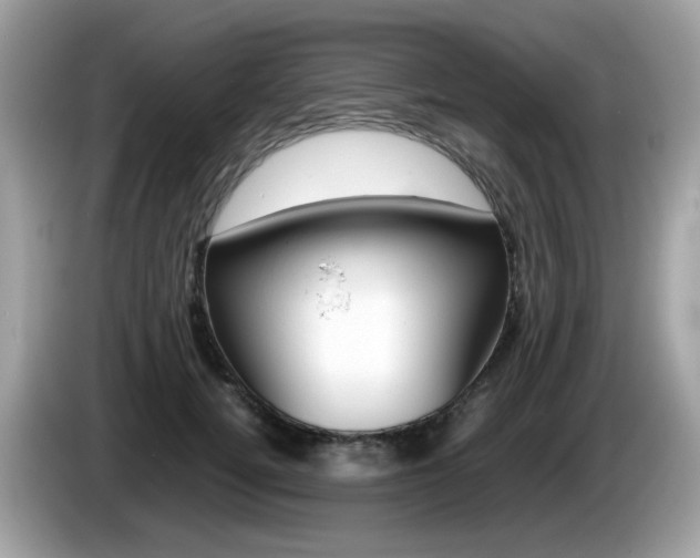 X0000086240752200703291005