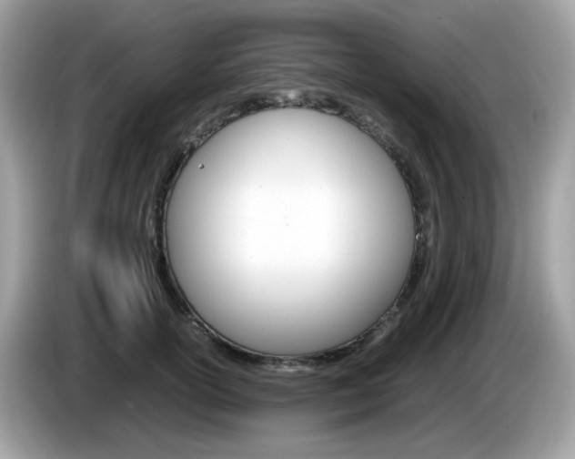 X0000086240754200703291005