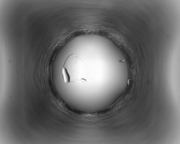 X0000086240756200703291005