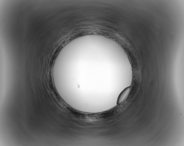 X0000086240757200703291005