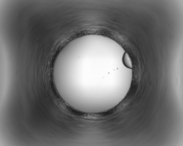X0000086240758200703291005