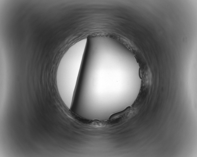 X0000086240764200703291005