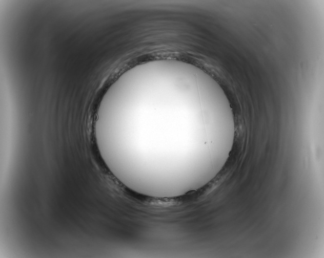 X0000086240767200703291005