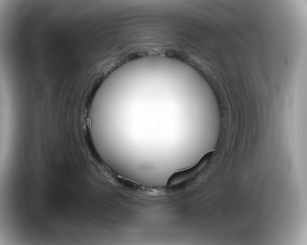 X0000086240768200703291005