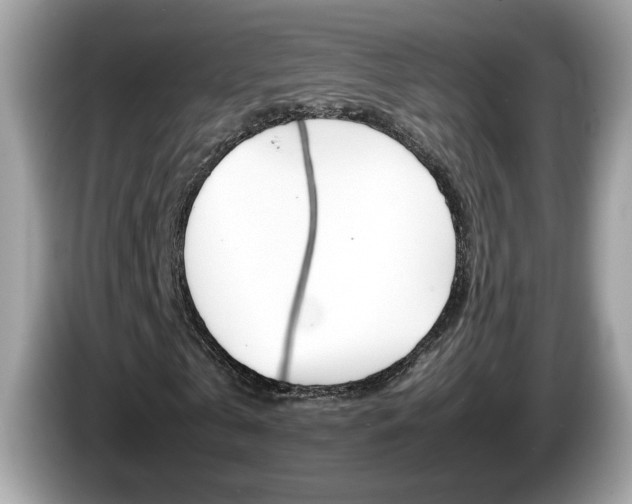 X0000086240769200703291004