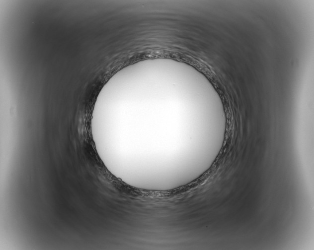 X0000086240770200703291004