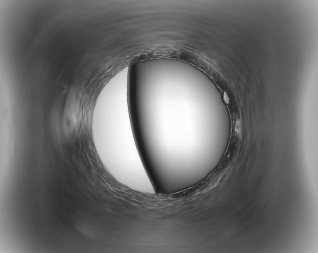 X0000086240771200703291004